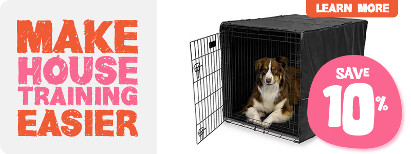 Make House Training Easier with Crate Training